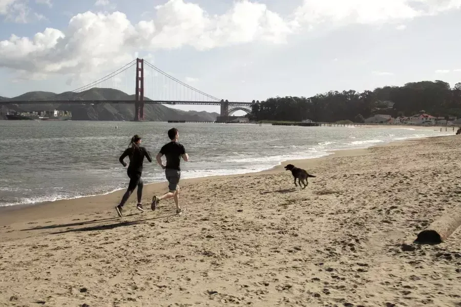 Corredores no Crissy Field